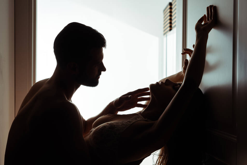 ドアの近くでセクシーな若い情熱的な女性に触れる男のシルエット - 写真・画像