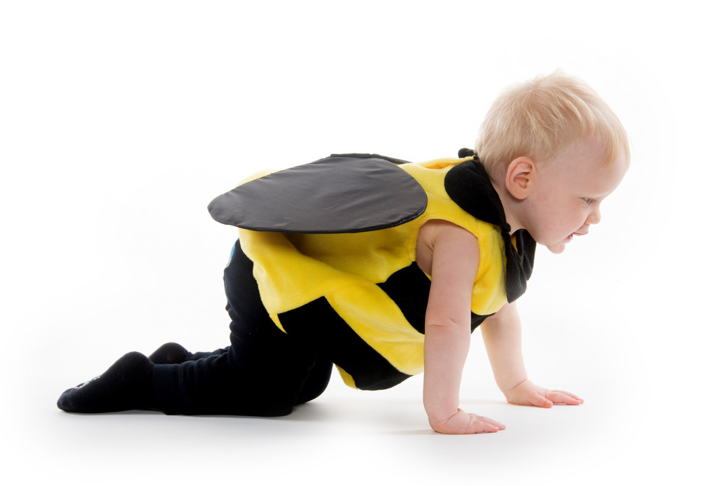 Niño en traje de abejorro
 - Foto, Imagen