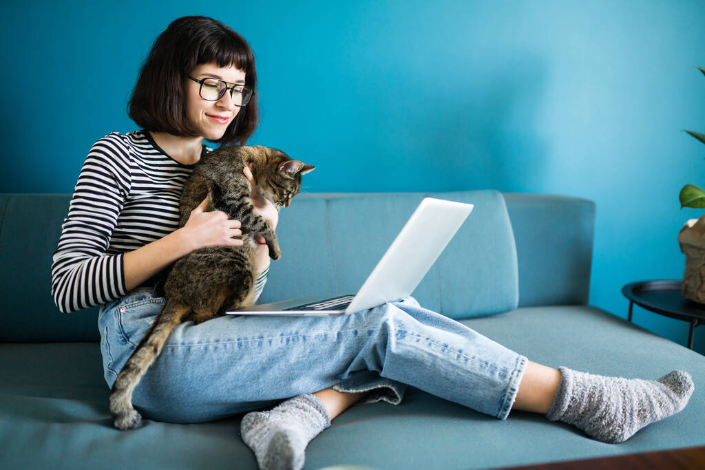 Femme pigiste travaillant à l'ordinateur portable avec un chat sur un canapé à la maison. Femme avec son chat passer du temps ensemble dans un cadre favori. Technologie, freelance et concept de télétravail
. - Photo, image
