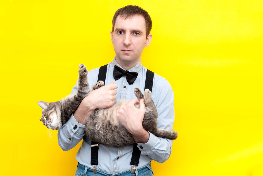 красивый позитивный мужчина в синей рубашке с длинными рукавами держа милый серый тэбби кот на спине перед желтым фоном с копировальным пространством
 - Фото, изображение