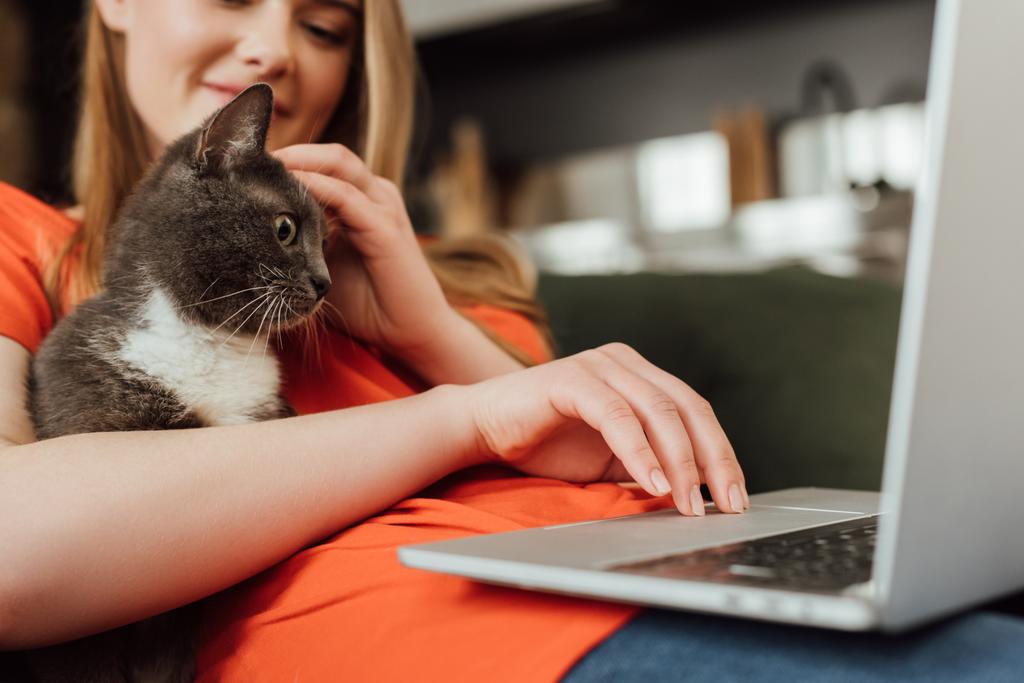 kivágott kilátás mosolygós szabadúszó segítségével laptop és megható aranyos macska a nappaliban  - Fotó, kép