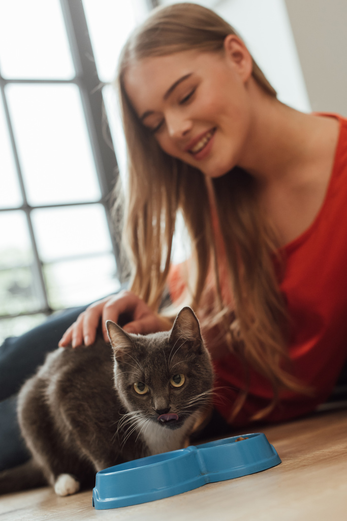 вибірковий фокус щасливої жінки торкається кота біля миски на підлозі
  - Фото, зображення