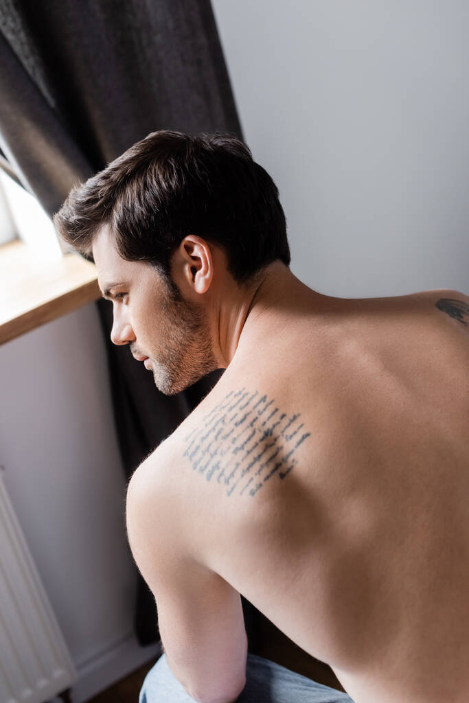 rear view of sexy shirtless tattooed man at home - Photo, Image