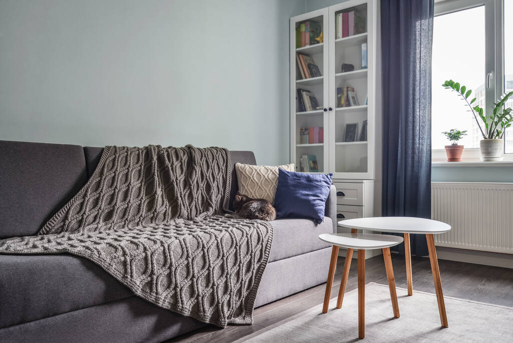 Jasny przytulny pokój nastolatek z białymi regałami, szarą sofą i niebieską ścianą - Zdjęcie, obraz