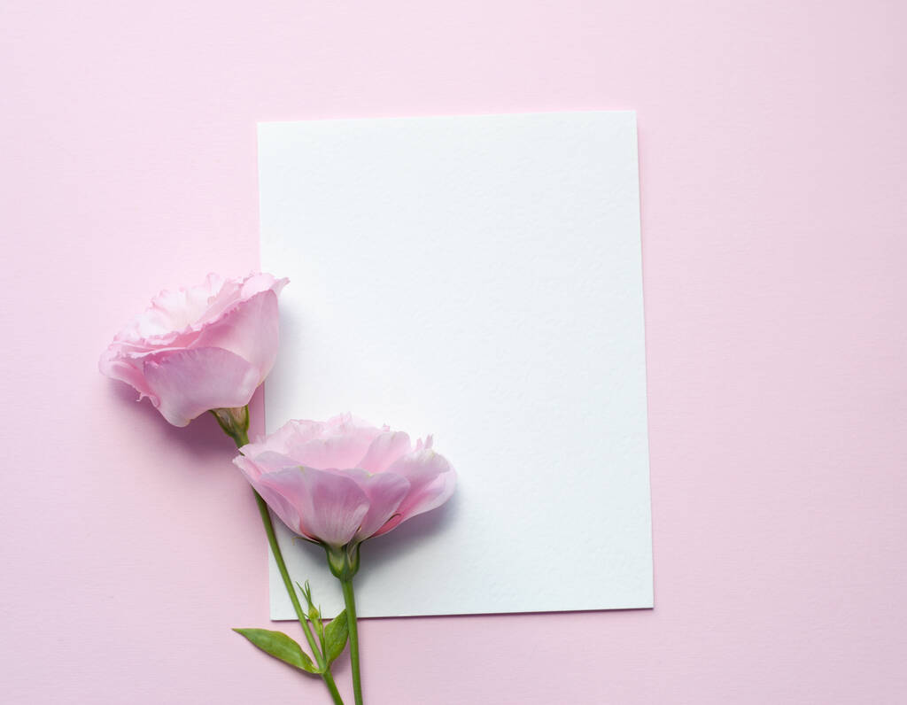 Ένα φύλλο χαρτί βρίσκεται οριζόντια σε ροζ χαρτί, λουλούδια του ευστώματος (lisianthus) Κάτοψη, Copy space. Αντίληψη Ημέρα της Μητέρας, Ημέρα της Οικογένειας, Ημέρα του Αγίου Βαλεντίνου - Φωτογραφία, εικόνα
