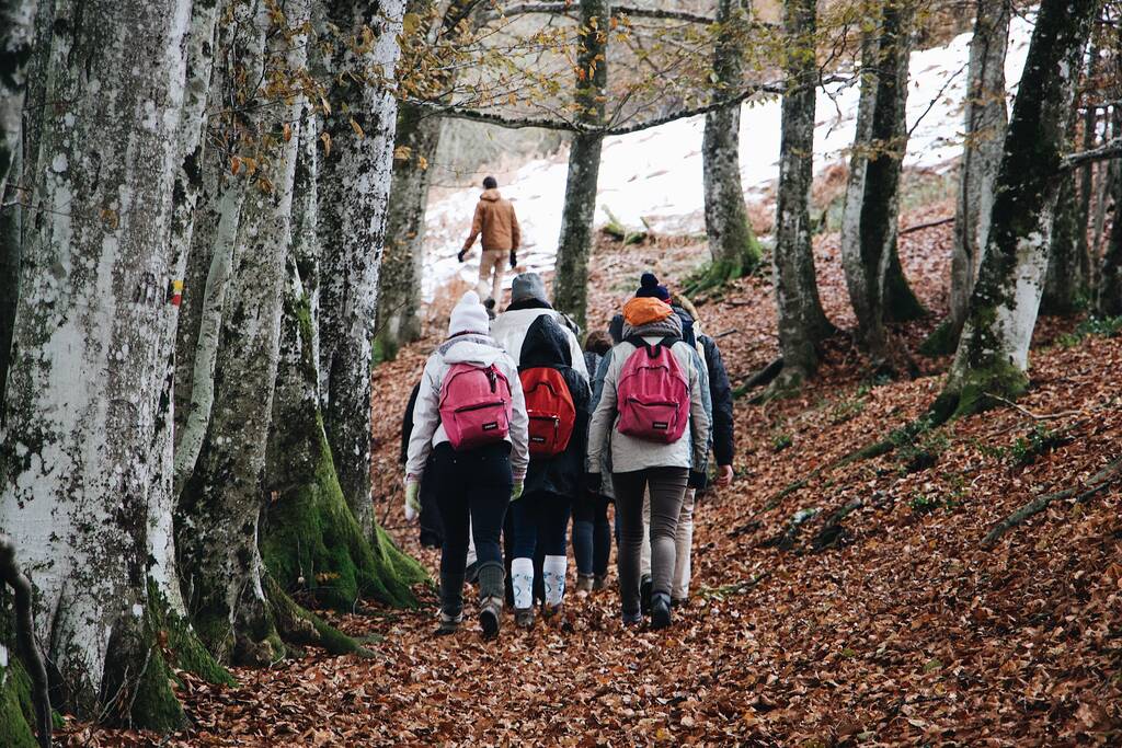 Un grupo de personas con mochilas rojas caminando por el bosque en otoño. - Foto, Imagen