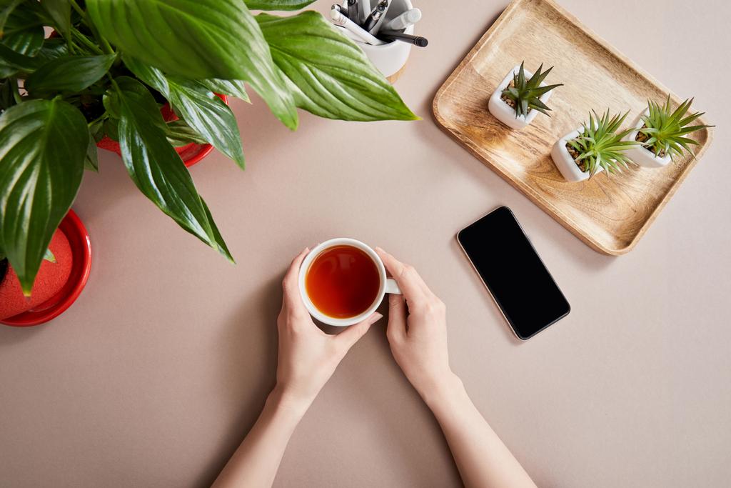 bovenaanzicht van groene planten op houten plank bij smartphone en vrouwelijke handen met kopje thee op beige oppervlak - Foto, afbeelding