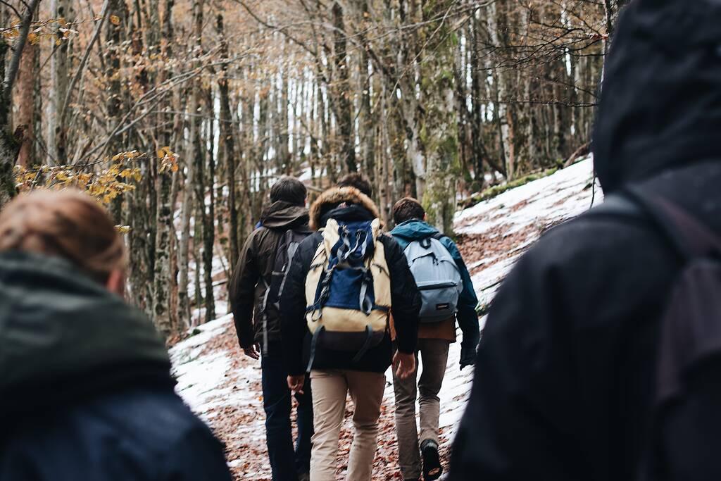 La gente con mochilas en el bosque durante el día. - Foto, imagen