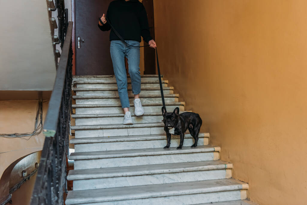 levágott kilátás lány gazdaság kutya póráz séta közben francia bulldog - Fotó, kép
