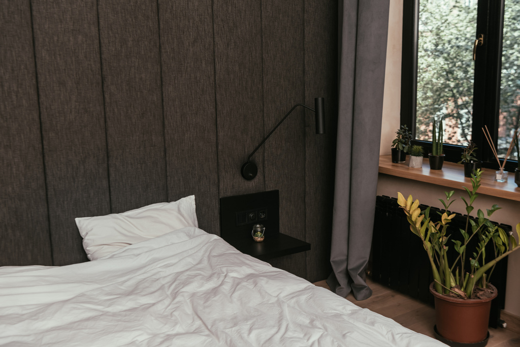 πράσινα και φρέσκα φυτά κοντά στο κρεβάτι στη σύγχρονη κρεβατοκάμαρα  - Φωτογραφία, εικόνα