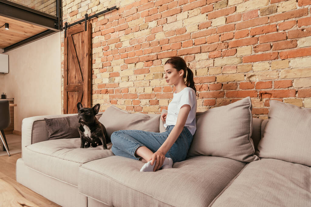 aranyos francia bulldog és vonzó nő ül kanapén a nappaliban  - Fotó, kép
