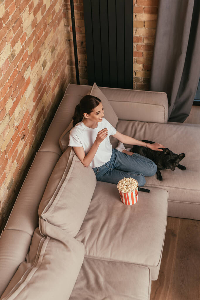 shora pohled na veselou ženu sedící na pohovce v blízkosti popcorn vědro a roztomilý francouzský buldok při sledování filmu  - Fotografie, Obrázek