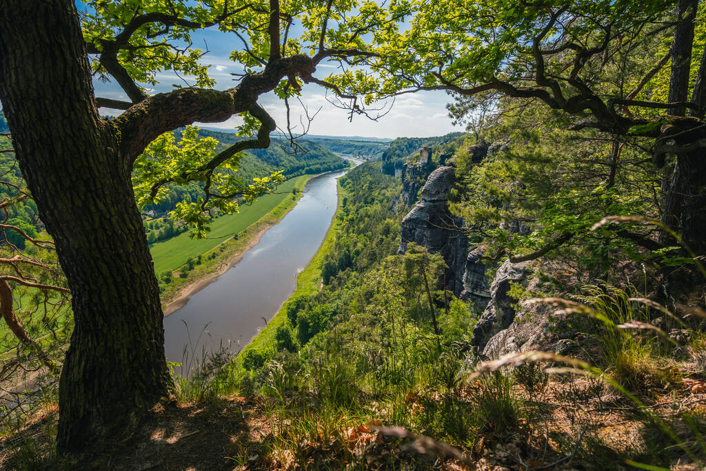 Німеччина. Вид з Бастейської скелі вниз по річці Ельбі. У весняний сезон відвідують національний парк Саксонська Швейцарія. - Фото, зображення