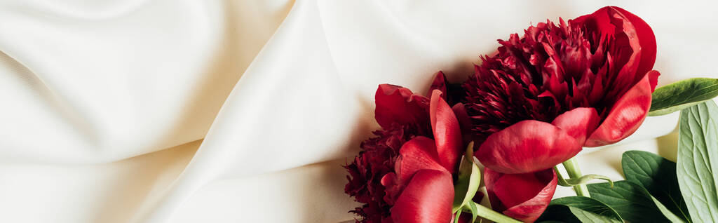 top view of red peonies on white cloth, panoramic shot - Photo, Image