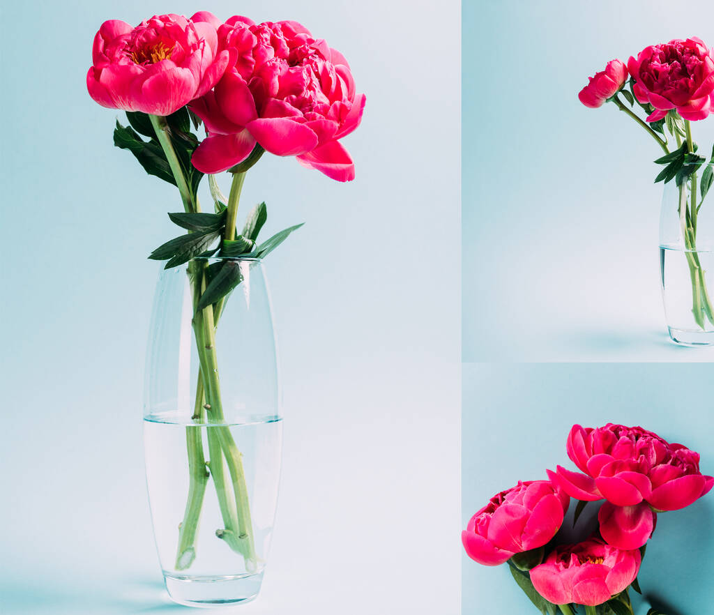 ramo de peonías rosadas en jarrón de vidrio sobre fondo azul, collage
 - Foto, Imagen