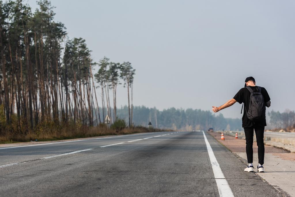 visszapillantás férfi hátizsák gesztikulál, miközben stoppolás az üres úton, közel a zöld fák  - Fotó, kép