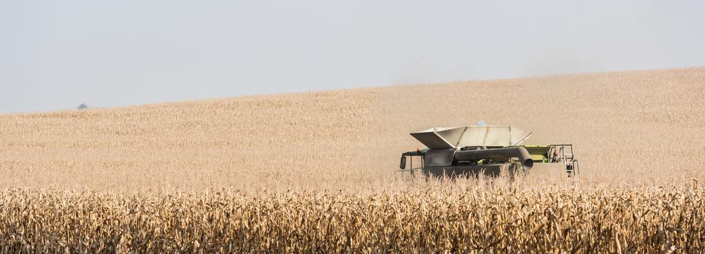 панорамна концепція тракторного збирання пшеничного поля
  - Фото, зображення