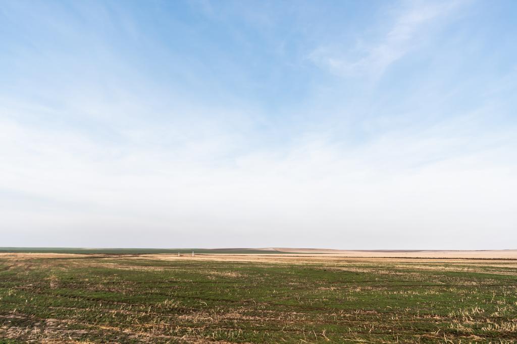 Grasrasen in Feldnähe gegen blauen Himmel mit Wolken - Foto, Bild