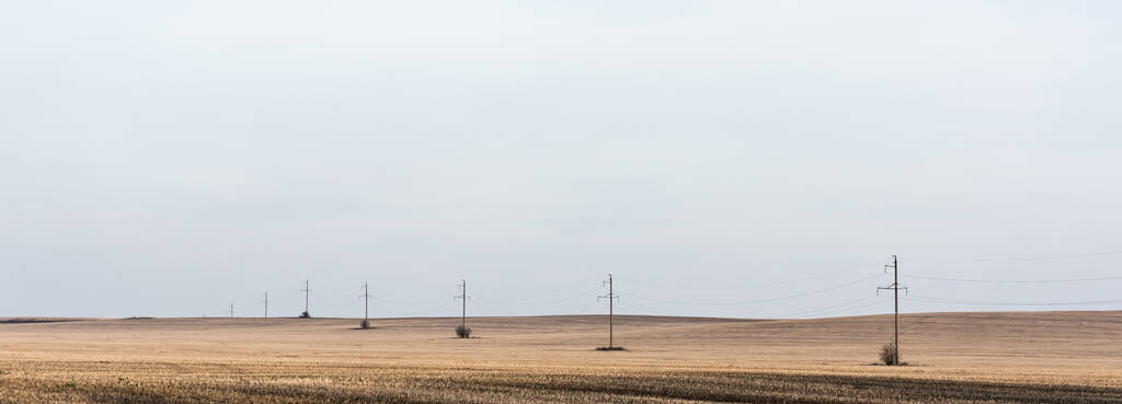 panoramatický koncept siločáry blízko zlatého pole proti zatažené obloze  - Fotografie, Obrázek