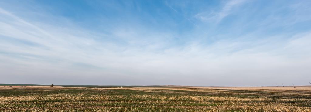 a füves gyep vízszintes termése a kék ég és a felhők ellen - Fotó, kép