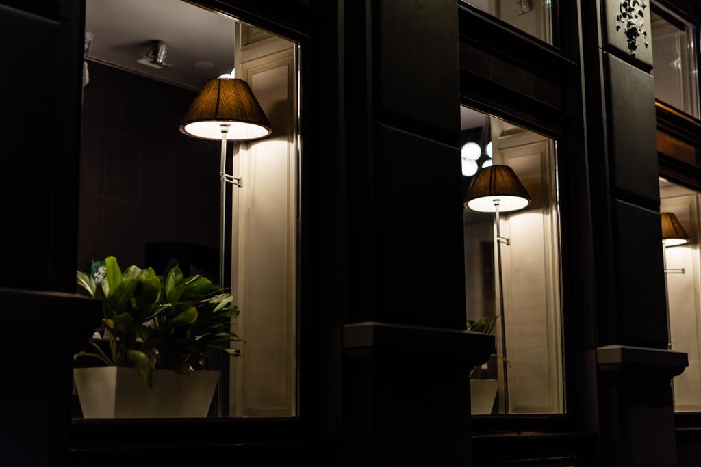 селективный фокус ламп возле зеленых растений на подоконниках
  - Фото, изображение