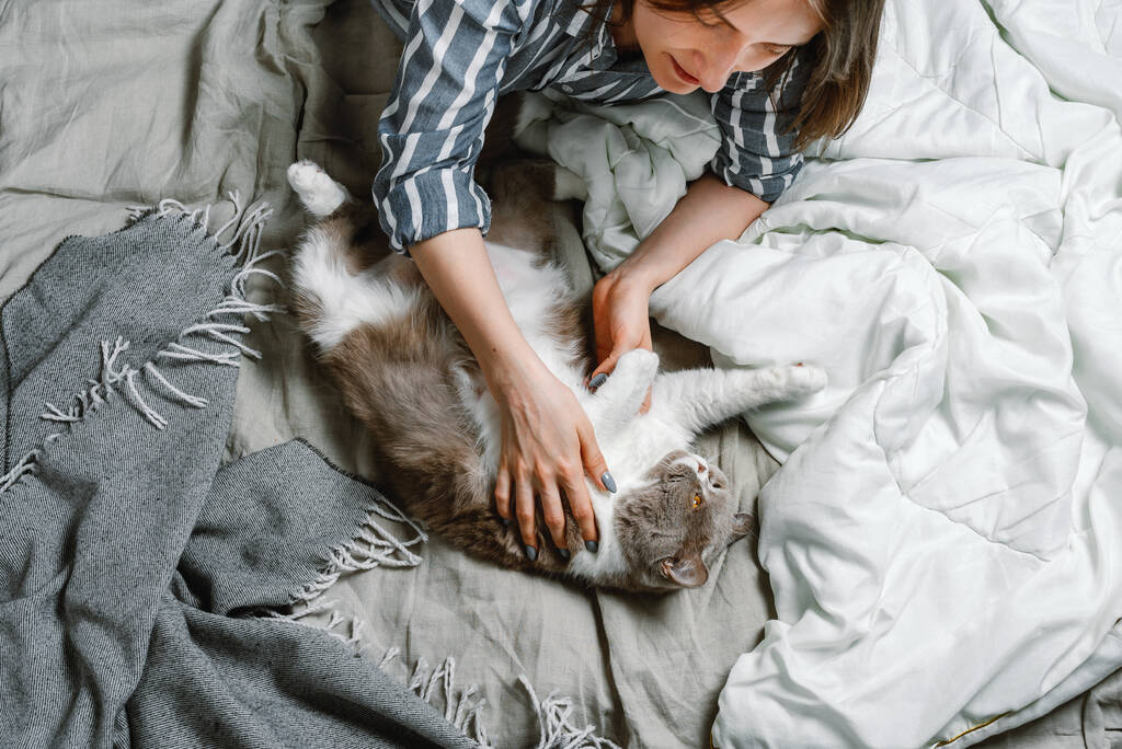 Νεαρή γυναίκα ξαπλωμένη στο κρεβάτι με το βρετανικό της κατοικίδιο, επιλεκτική εστίαση - Φωτογραφία, εικόνα