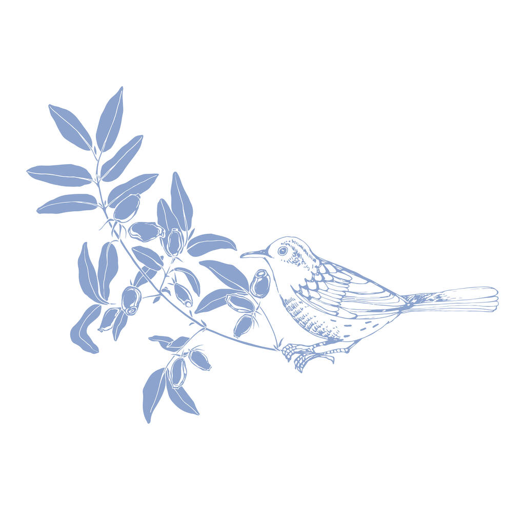 Uccello sui rami di caprifoglio, può essere un elemento il vostro disegno
. - Vettoriali, immagini