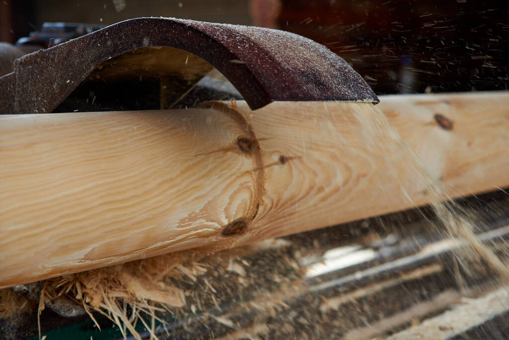 Ένα πριόνι κόβει φλοιό από ξύλινα κούτσουρα σε πριονιστήριο.. - Φωτογραφία, εικόνα