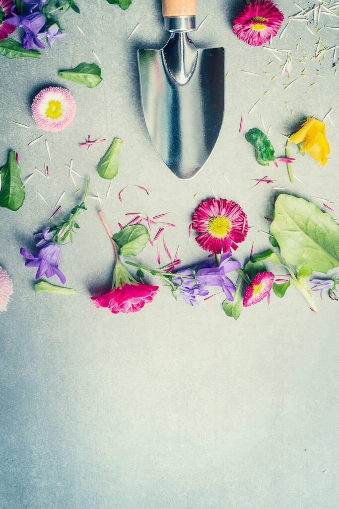 Kertészeti háttér virágokkal, szirmokkal és lapáttal, felülnézet - Fotó, kép