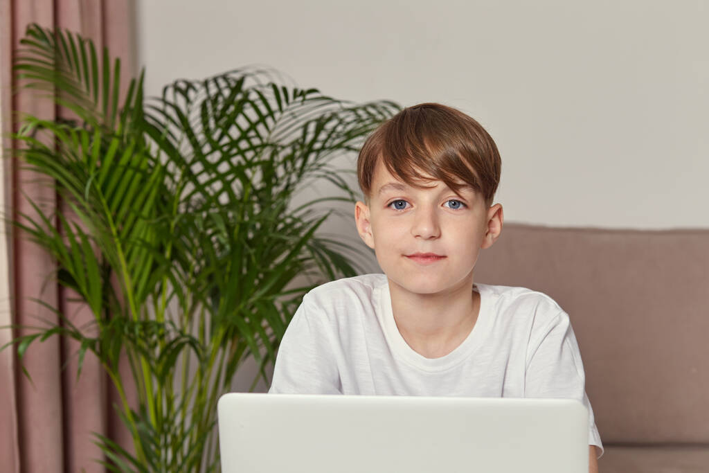 Brunette boy sit on the couch and looks at the camera. On the table is a laptop. - Photo, Image