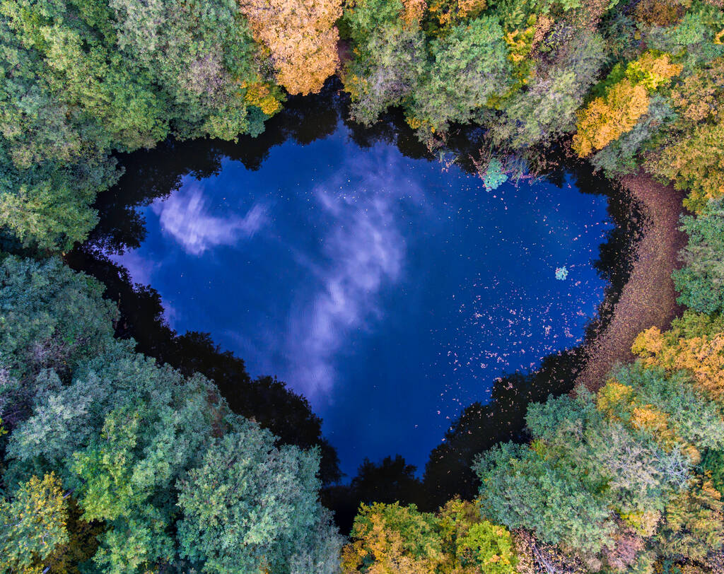 Вид с воздуха на осеннее дикое лесное озеро
 - Фото, изображение