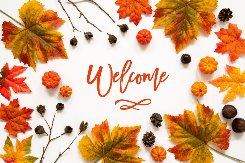 Décoration de feuille d'automne colorée lumineuse, texte anglais Bienvenue
 - Photo, image