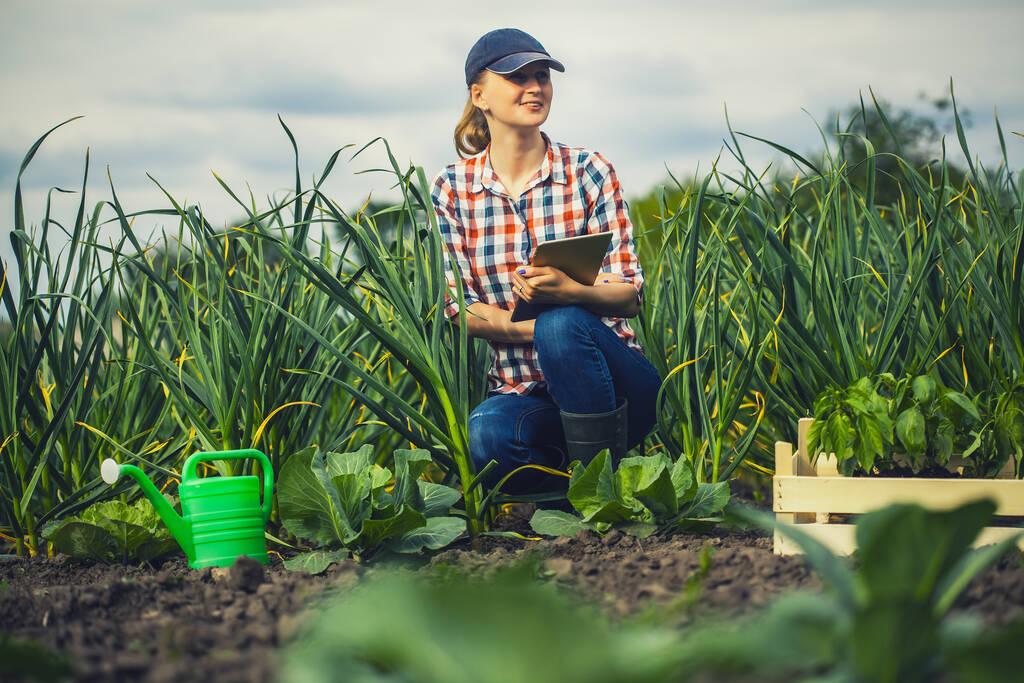 ženský agronomista kontroluje rychlost růstu česneku na ekologické farmě. Ekologické zemědělství - Fotografie, Obrázek