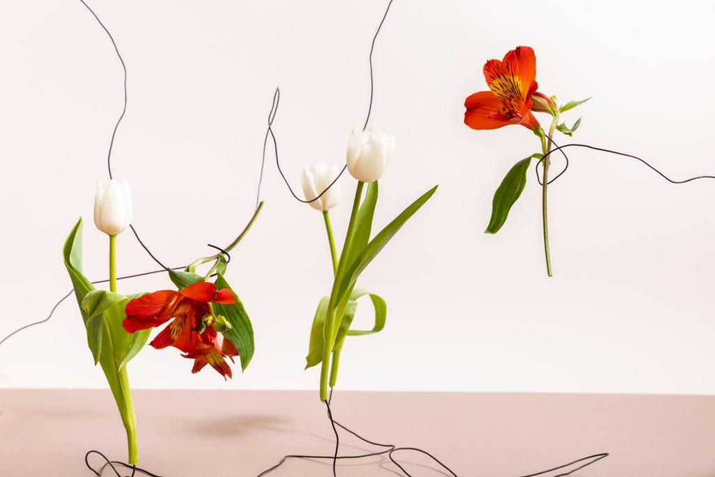 composição floral com tulipas e vermelho Alstroemeria em fios isolados em branco
 - Foto, Imagem