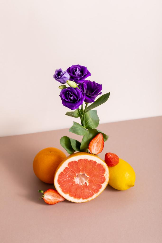 紫色のユーズヤと夏の果実をベージュに孤立させた花と果実の組成 ロイヤリティフリー写真 画像素材