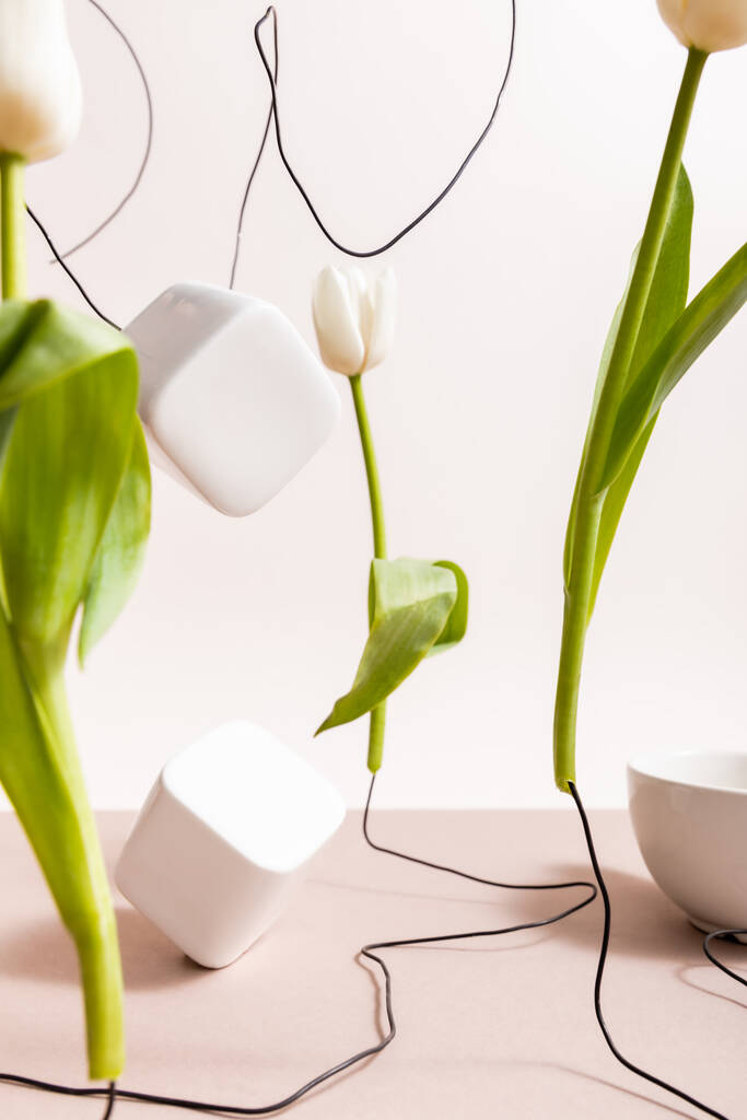 ベージュに隔離されたワイヤー、カップ、正方形のキューブ上のチューリップと創造的な花の組成の選択的な焦点 - 写真・画像