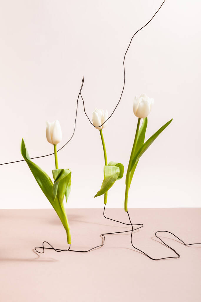 Bej rengi kablolar üzerinde laleler bulunan yaratıcı çiçek kompozisyonu - Fotoğraf, Görsel