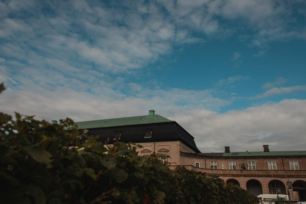Kopenhag, Danimarka 'da çalılıkların seçici odak noktası, bina cephesi ve arka planda bulutlu gökyüzü  - Fotoğraf, Görsel