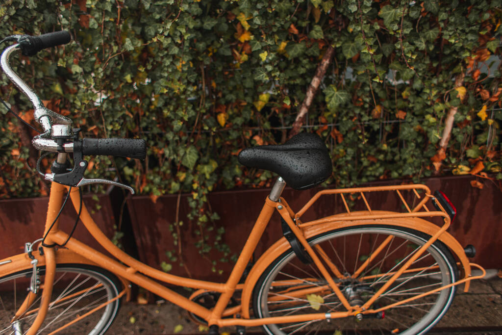 Bicicleta naranja húmeda cerca de arbustos en calle urbana
 - Foto, imagen
