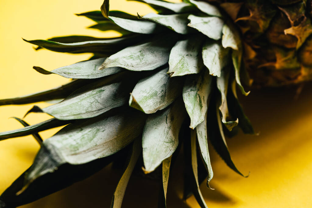 Nahaufnahme von grünen Blättern auf Ananas auf gelbem Hintergrund - Foto, Bild