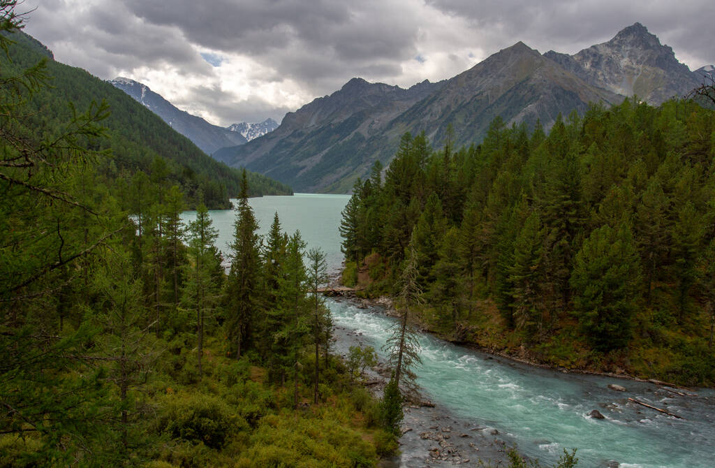 Fırtınalı, Altai 'deki dağ nehri, dağ zirvelerinin arka planında, kıyılar boyunca yoğun bitki örtüsü ile. - Fotoğraf, Görsel