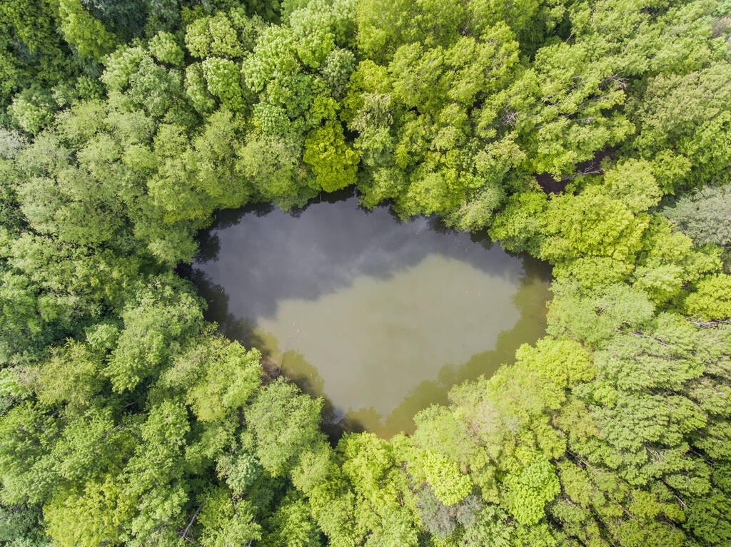 Bovenaanzicht vanuit de lucht op het modderige meer van het wilde bos. Drone foto in warme tinten. - Foto, afbeelding