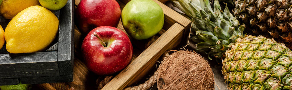 plano panorámico de frutas frescas maduras en cajas de madera
 - Foto, imagen
