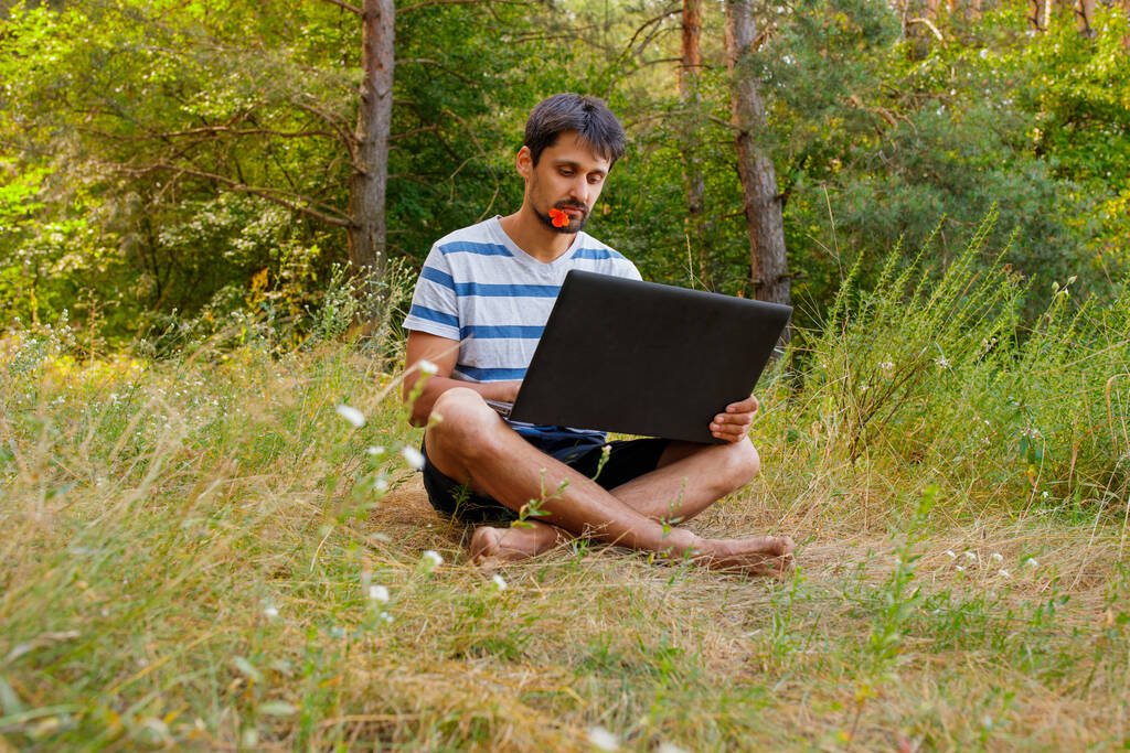 髭を生やした青年が芝生の上に腰を下ろしてコンピュータを操作している。コンセプト-喜びで屋外のフリーランス - 写真・画像