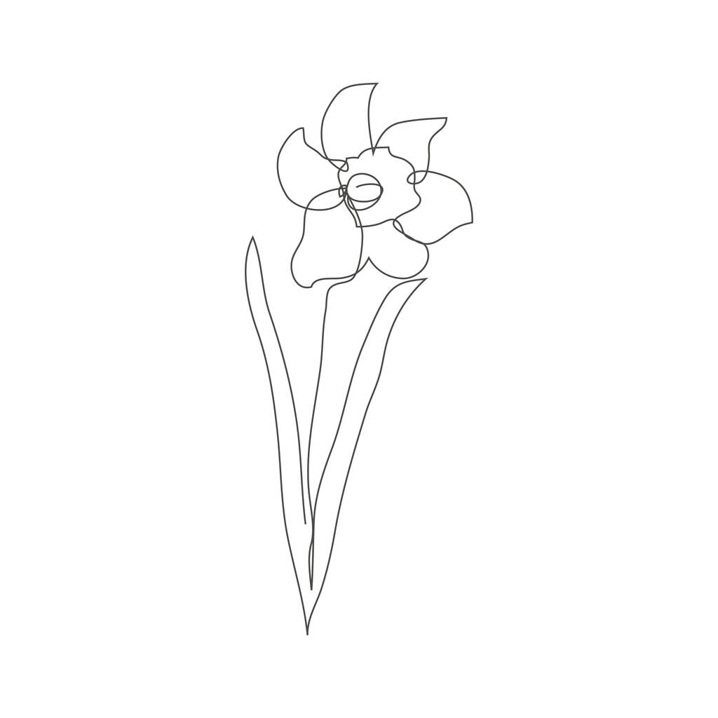 Συνεχής γραμμή διακοσμητικό χέρι daffodil λουλούδι, στοιχείο σχεδιασμού. Μπορεί να χρησιμοποιηθεί για κάρτες, προσκλήσεις, πανό, αφίσες, σχέδιο εκτύπωσης - Διάνυσμα, εικόνα
