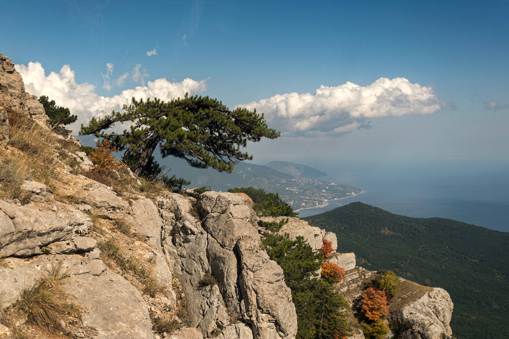 Magníficas vistas de la montaña más alta de Crimea AI-Petri con un puente de cable suspendido. La mejor ruta a pie para la recreación turística activa y el turismo. Una excelente visión general de la altura del vuelo de las aves
. - Foto, imagen