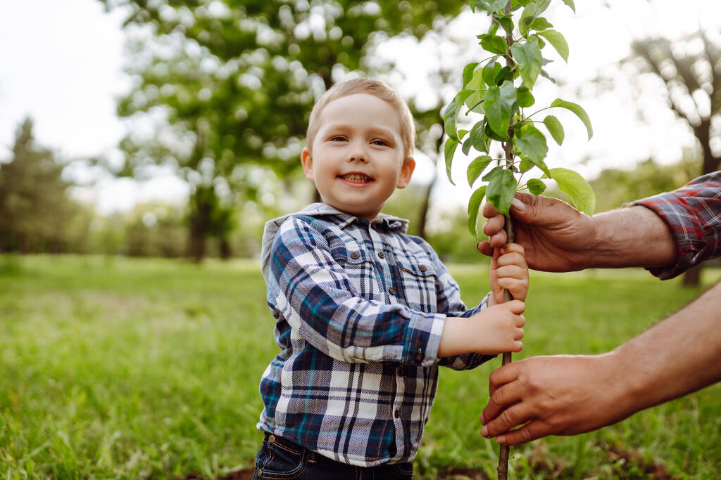 Mały chłopiec pomaga dziadkowi zasadzić drzewo pracując razem w ogrodzie. Zabawny mały ogrodnik. Wiosenna koncepcja, natura i opieka. - Zdjęcie, obraz