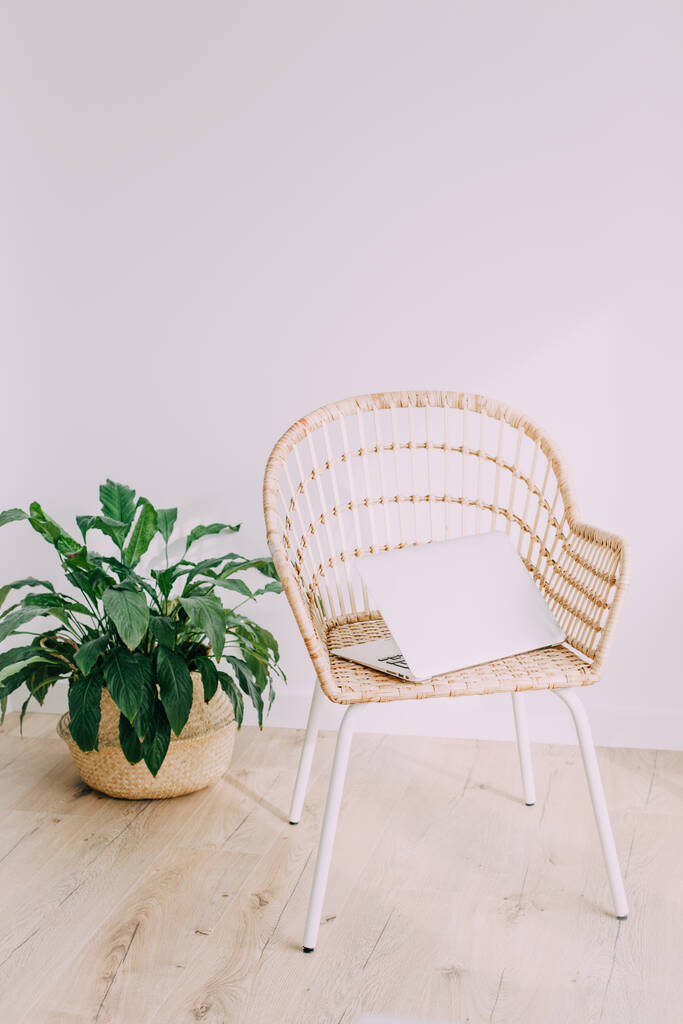 Interior blanco con silla de mimbre de ratán. La silla está en un suelo de madera, en ella se encuentra un portátil gris. Ambiente acogedor y eco-estilo
. - Foto, Imagen