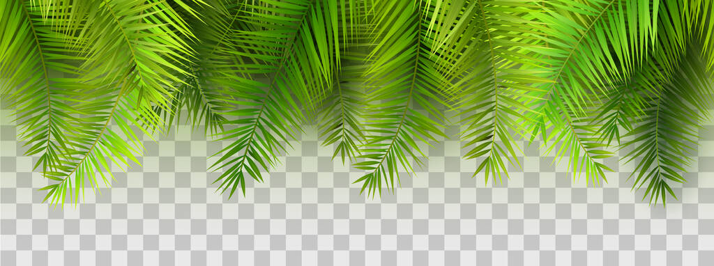 Letní palmové listy na průhledném pozadí. Bezproblémový vzor. - Vektor, obrázek