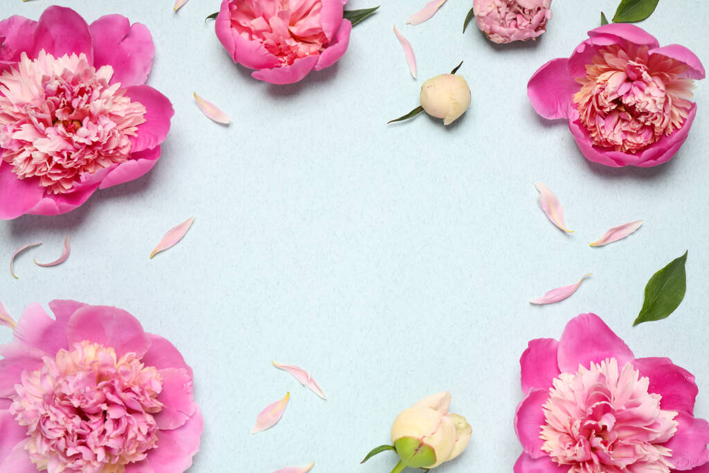 Beautiful fresh peonies on light blue background, flat lay. Space for text - Photo, Image
